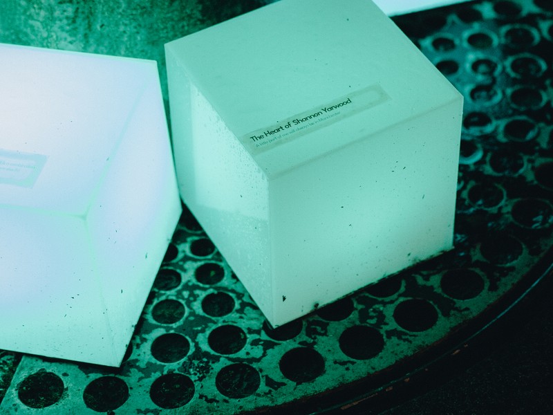 Exhibition image from Lightwaves 2024