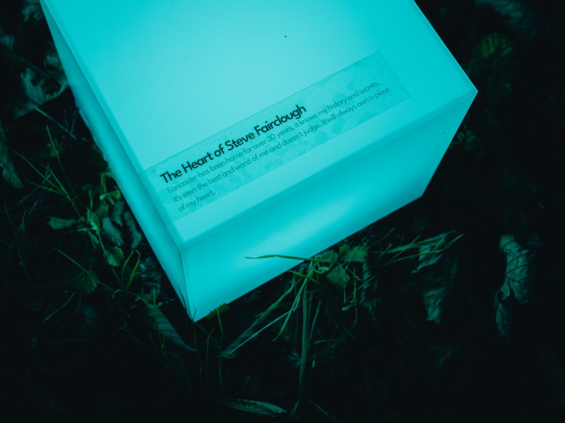 Exhibition image from Light Up 2024