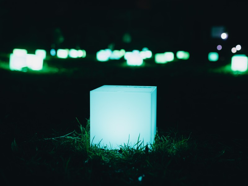 Exhibition image from Light Up 2024