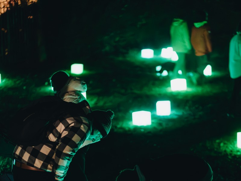 Exhibition image from Light Up 2024