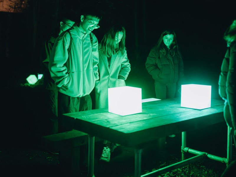 Exhibition image from Light Up 2024