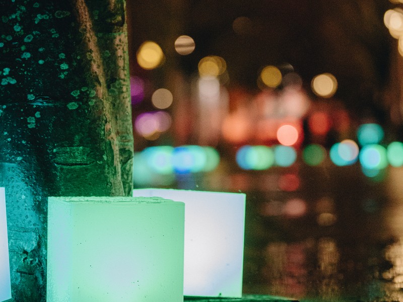 Exhibition image from Lightwaves 2024