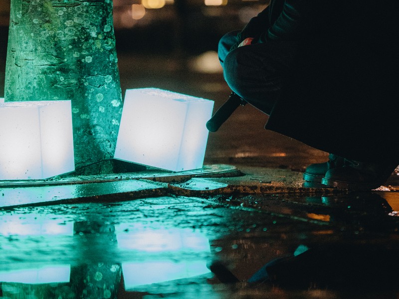 Exhibition image from Lightwaves 2024