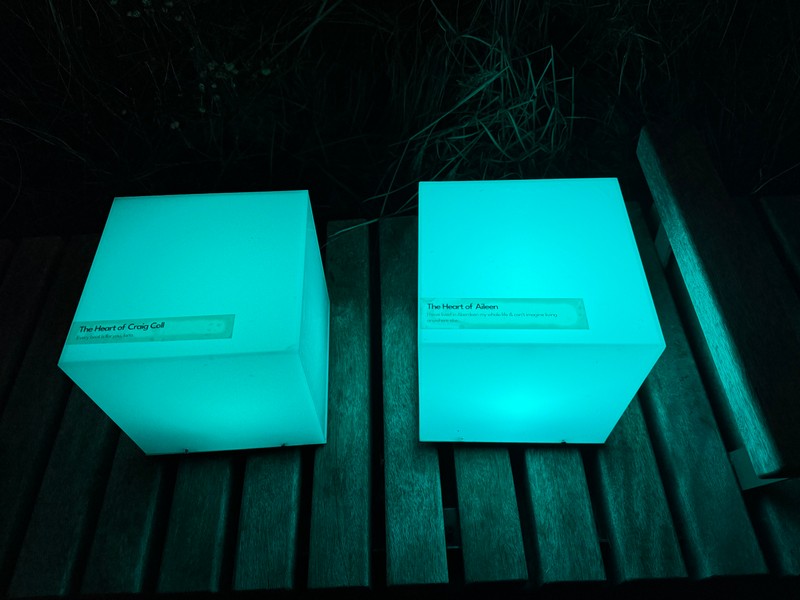 Exhibition image from SPECTRA 2025