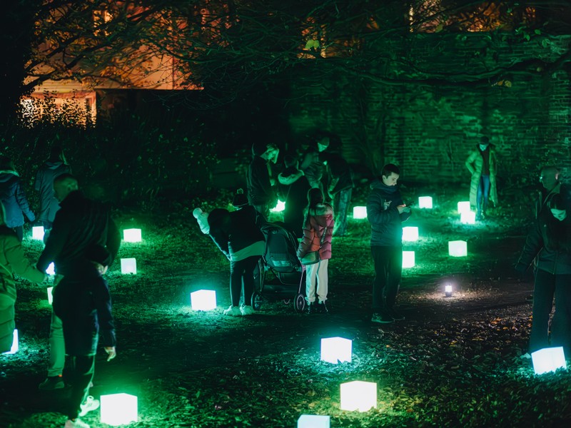 Exhibition image from Light Up 2024