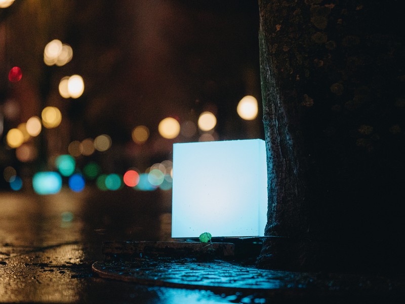 Exhibition image from Lightwaves 2024