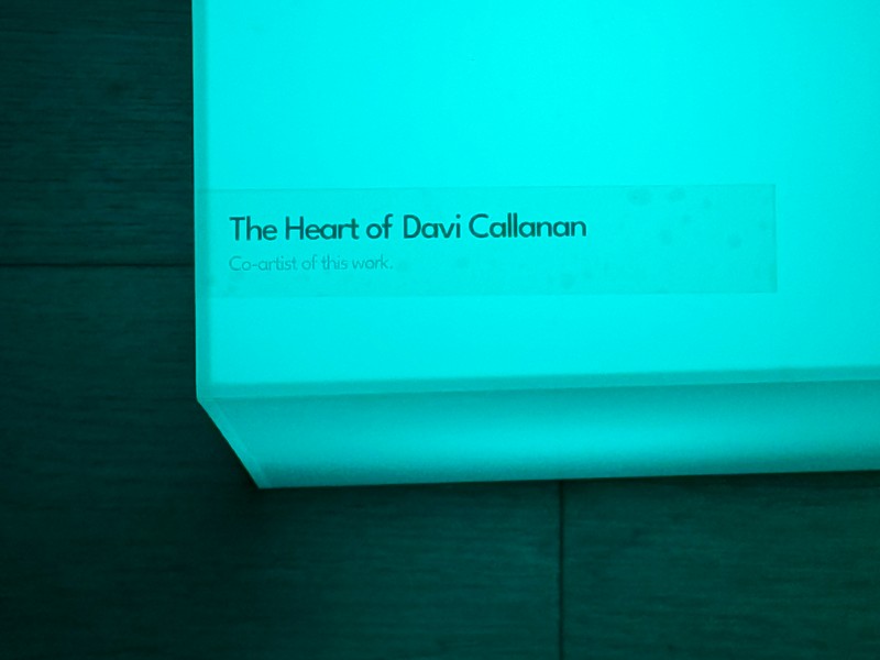 Exhibition image from Barnsley Bright Nights