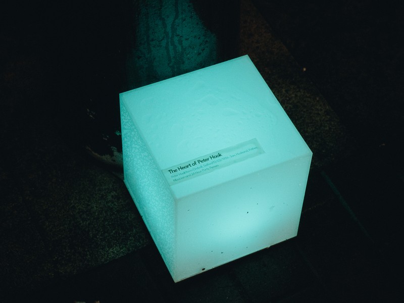 Exhibition image from Lightwaves 2024