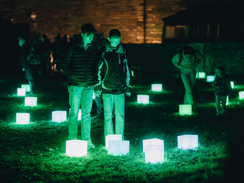 Exhibition image from Light Up 2024