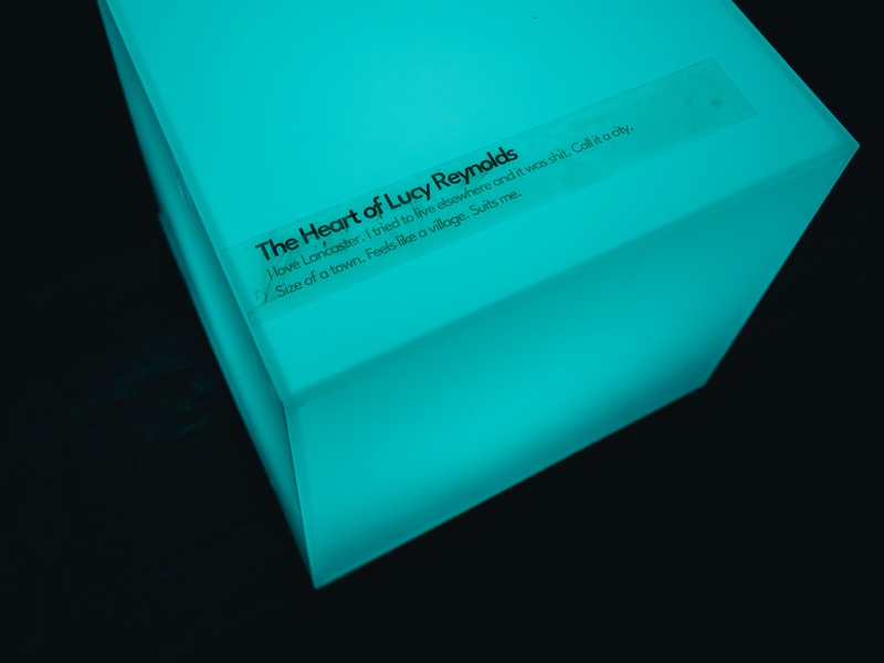 Exhibition image from Light Up 2024